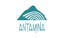 logos-t-01.png